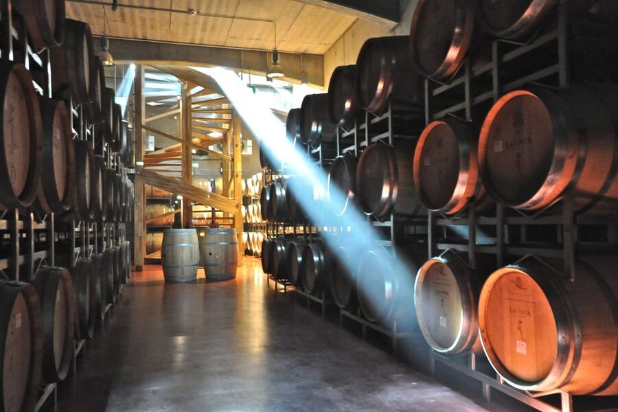 From Bucharest: Exclusive Dealu Mare Wine Tasting Tour - Your English-Language Guide: Mihai, Bogdan, Andrei, and the Romania Connection