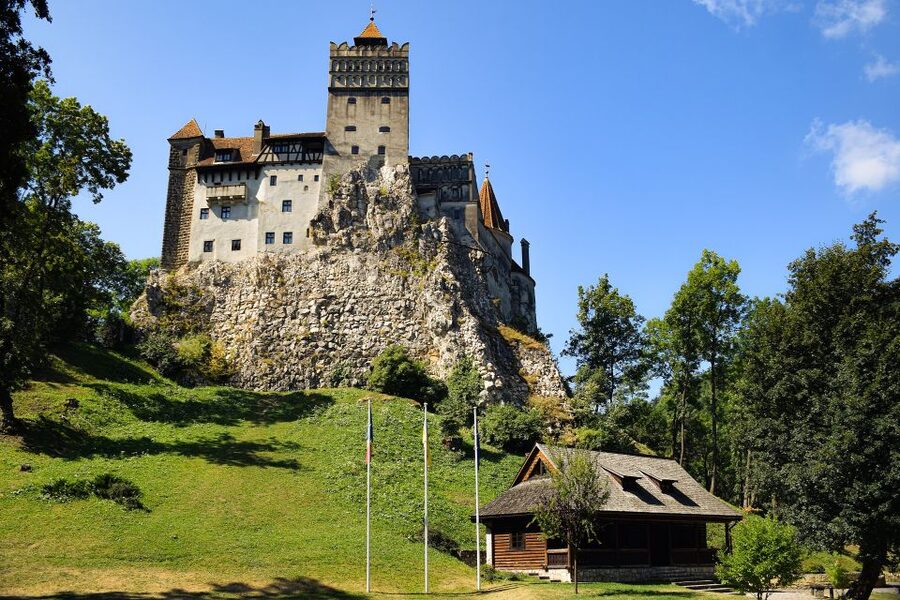 From Bucharest: Libearty Bear Sanctuary and Dracula's Castle - Bucharest to Transylvania: the day’s rhythm
