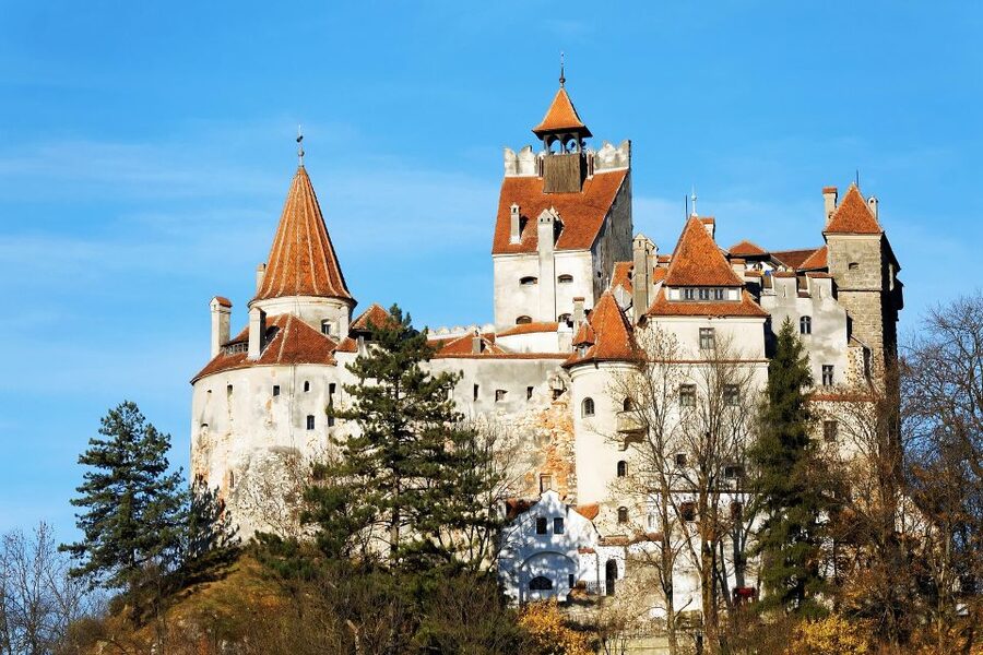From Bucharest: Libearty Bear Sanctuary and Dracula's Castle - Libearty Bear Sanctuary in Zărnești: ethical bear viewing with real walking