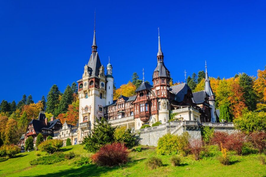 From Bucharest: Peleș and Bran Castles Private Tour - A Castle Day That Actually Has a Point