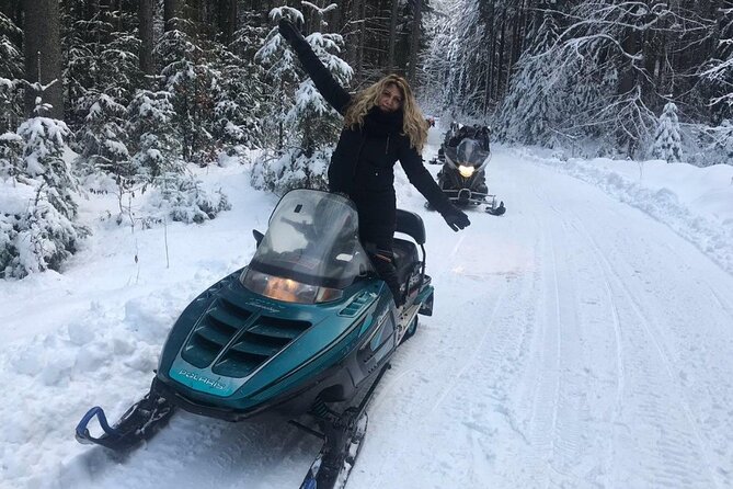 Full Day Private Snow Mobile in Carpathain Mountains - Bucharest in three quick hits: joy, parks, and the independence arch
