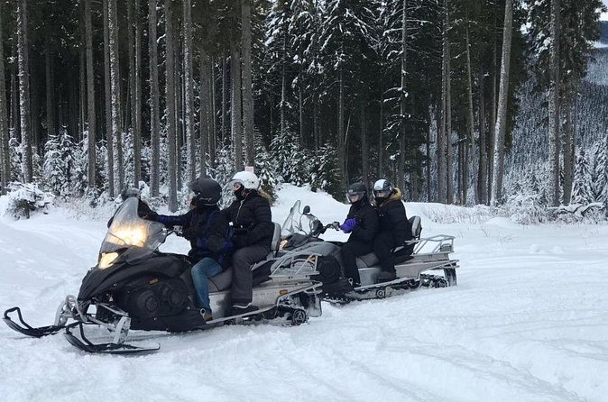 Full Day Private Snow Mobile in Carpathain Mountains - Price and value of this private winter day