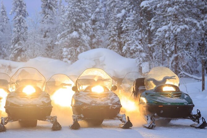 Full Day Private Snow Mobile in Carpathain Mountains - Who this private snowmobile day trip fits best