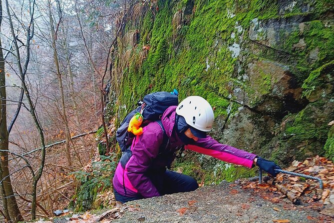 Hiking in the Transfagarasan’s Stan Valley of Carpathians - Your guide matters: Victor’s safety habits and storytelling style