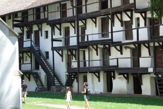 In Search of Dracula and the Teutons in Transylvania Full-Day Private Tour - Private guide power: Doina’s narration and Florin’s careful driving
