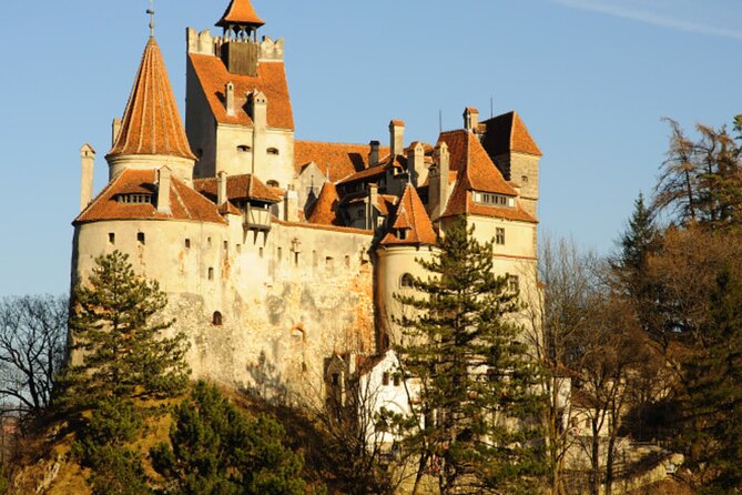 In Search of Dracula and the Teutons in Transylvania Full-Day Private Tour - Price and value: What $151.54 buys you in real terms