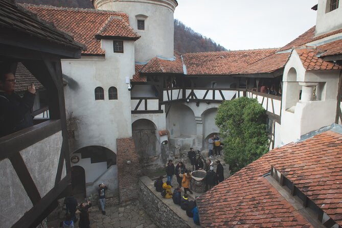Legends&Wildlife Awaits: Dracula's Castle & Bear Sanctuary - Libearty Bear Sanctuary near Zărnești: 90 rescued brown bears on 69 hectares