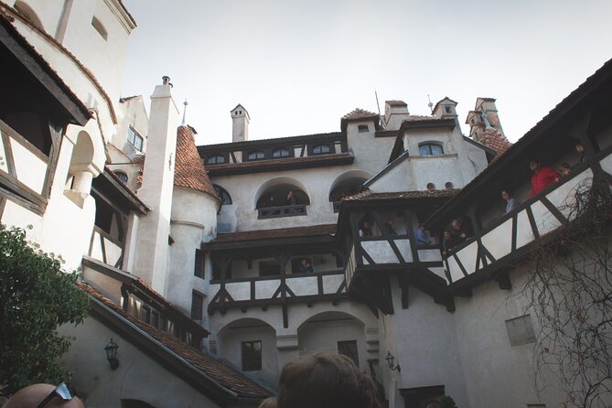 Legends&Wildlife Awaits: Dracula's Castle & Bear Sanctuary - The road between Zărnești and Bran: air-conditioning, WiFi, and live commentary