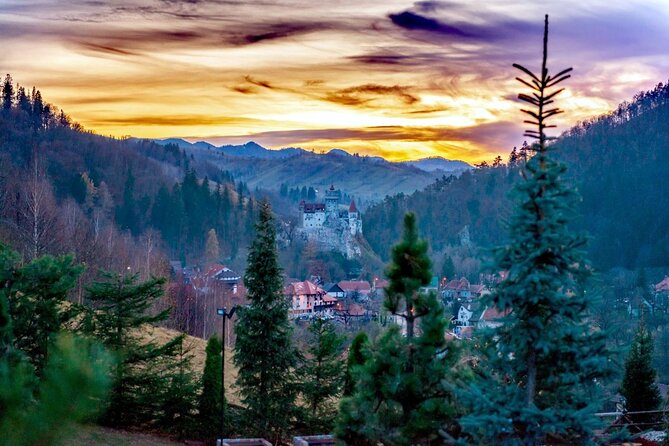 Legends&Wildlife Awaits: Dracula's Castle & Bear Sanctuary - Who this tour suits best (and who should double-check)