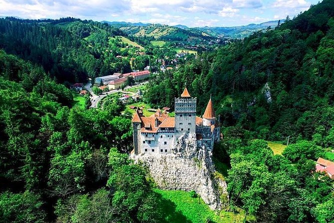 Libearty Bear Sanctuary and Dracula's Castle - Day Tour from Bucharest - Stop 1: Libearty Bear Sanctuary in Zărnești (what you’ll see and feel)