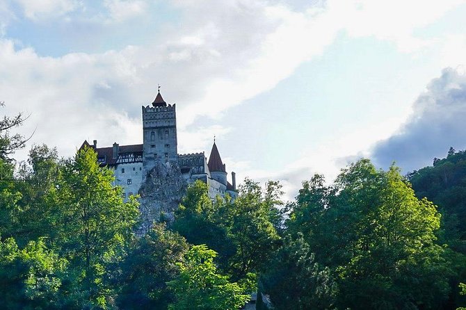 Libearty Bear Sanctuary and Dracula's Castle - Day Tour from Bucharest - How to watch bears well (and not lose your time)
