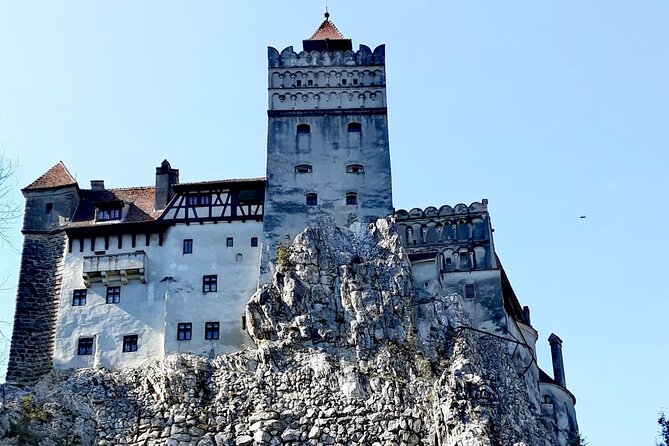 Libearty Bear Sanctuary and Dracula's Castle - Day Tour from Bucharest - The road between stops: Carpathian Mountains time and comfort