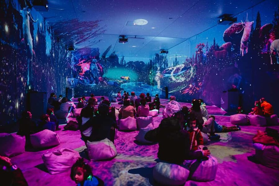 MINA Museum of Immersive New Art, Bucharest - Who should go (and who should not): the health warnings are not small