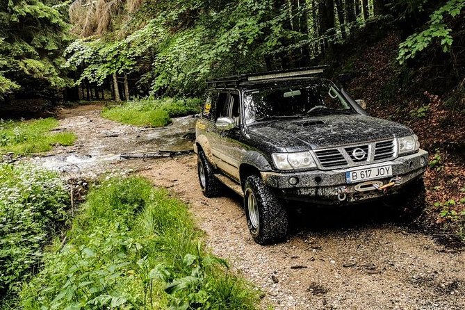 Off Road Adventures in Wild Carpathians - 5 Days - Day 1: Bucegi Mountains, Bolboci Lake, and Podu cu Florile views