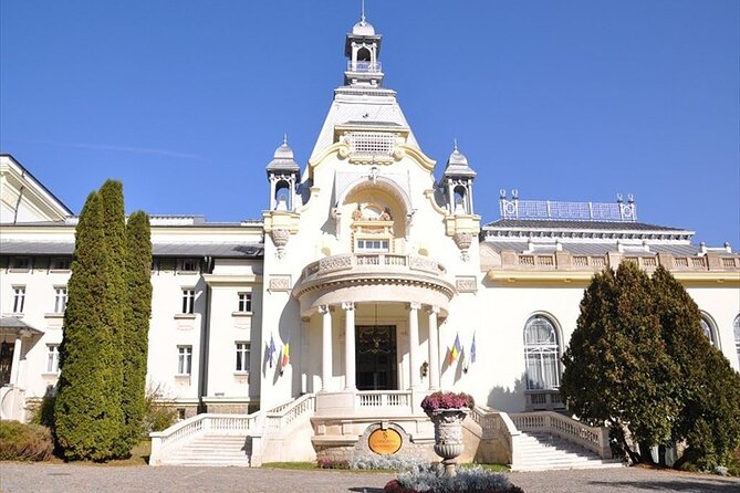 One Day Private Tour to Peles and Dracula Castles & Brasov City - Planning Tips That Protect Your Day (Especially on Busy Dates)
