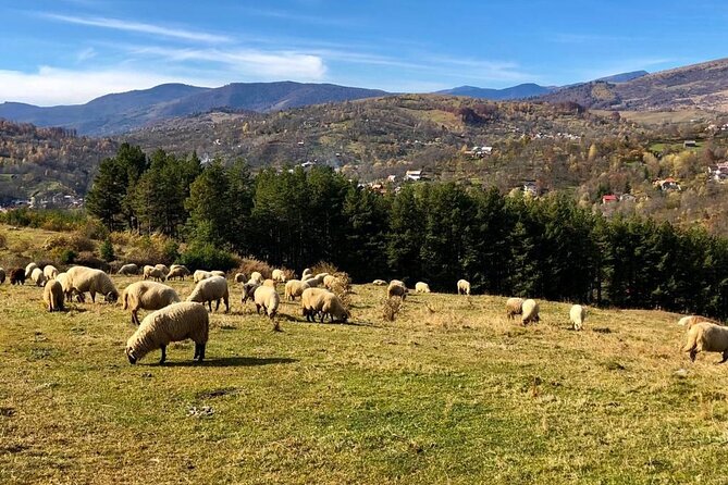 Original Carpathian Village Experience and Sinaia in one day tour - How This One-Day Route Works (And Why It’s a Good Use of Time)