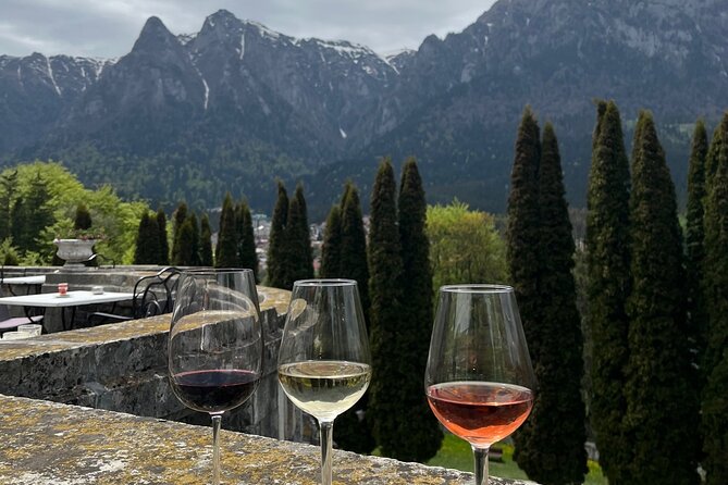 Peles & Cantacuzino Castles: Gourmet Wine & Cultural Day trip - The Prahova Valley drive: plan around the road time