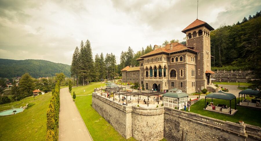 Peles & Cantacuzino Castles: Gourmet Wine & Cultural trip - Wine tasting at the terrace: 3 pours, cheese pairings, and castle vibes