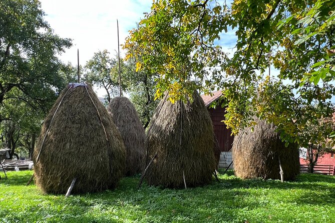 Peles castle and authentic Romanian village experience - day trip - Who Should Book This Tour (and Who Might Want a Different Option)