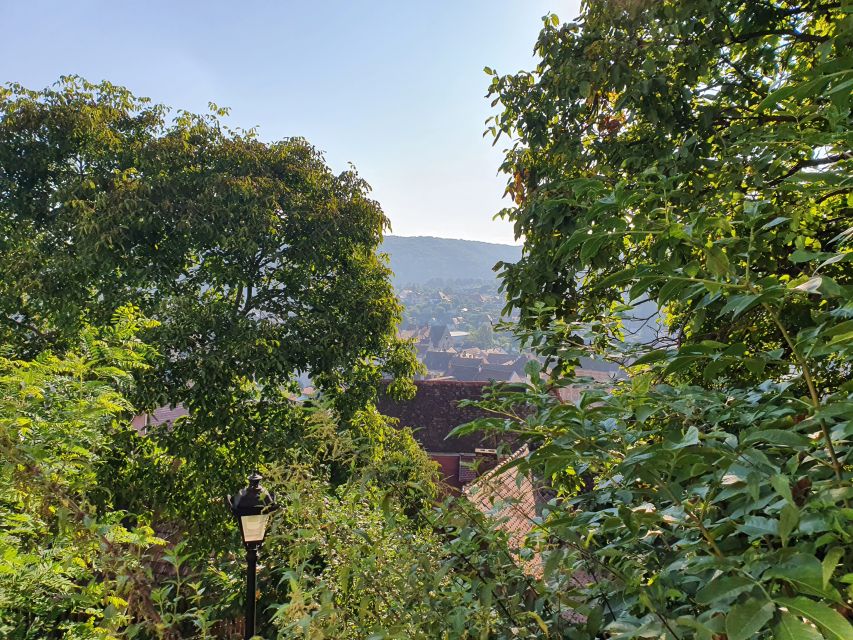 Peleș Castle, Bran Castles and Brasov City - Private Tour - The Private Guide and Driver Advantage (and a Quick Look at Nicolas)