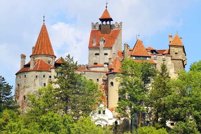 Peles Castle, Dracula Castle and Brasov old town - private tour from Bucharest - Service, guide style, and why the pacing gets praised