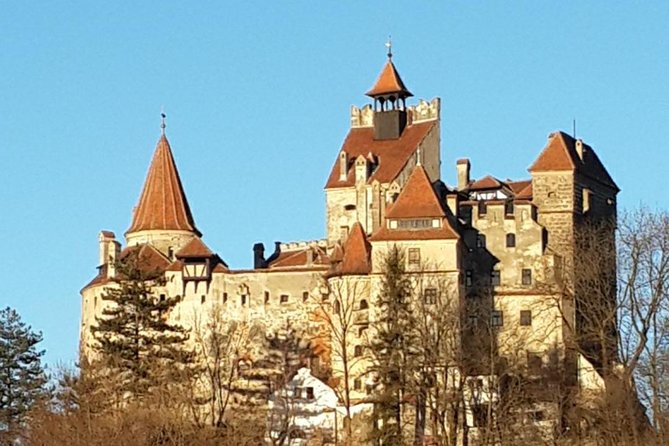 Premium Private 3-Day Best of Transylvania Tour Bucharest Hotel Pick Up/Drop Off - Day 3: Liberty Bear Sanctuary Zarnesti and Snagov Monastery for the Vlad story ending