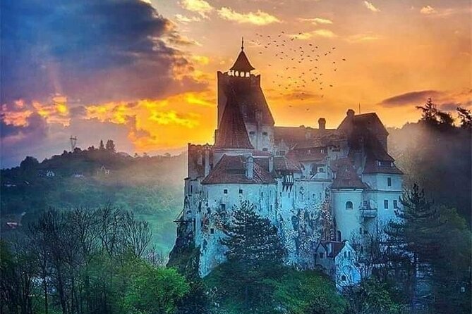 Private 4-Day Tour in Transylvania including Transfagarasan Road from Bucharest - Day 4: Zărnești Bear Sanctuary in the forest and Snagov’s lake monastery