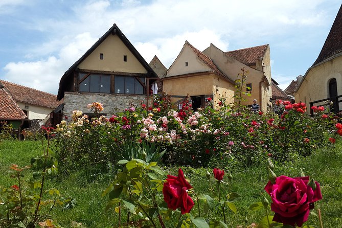 Private 5-Day Tour in Transylvania from Bucharest Hotel Pick-up and Drop off - The guide makes or breaks it (Sebastian is a standout example)