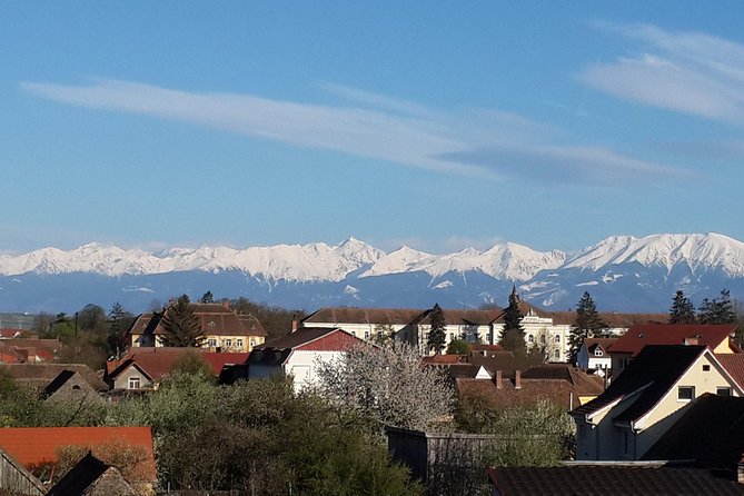 Private 5-Day Tour in Transylvania from Bucharest Hotel Pick-up and Drop off - Day 2: Bear Sanctuary in Zarnesti, Viscri’s fortified church, then Sighisoara