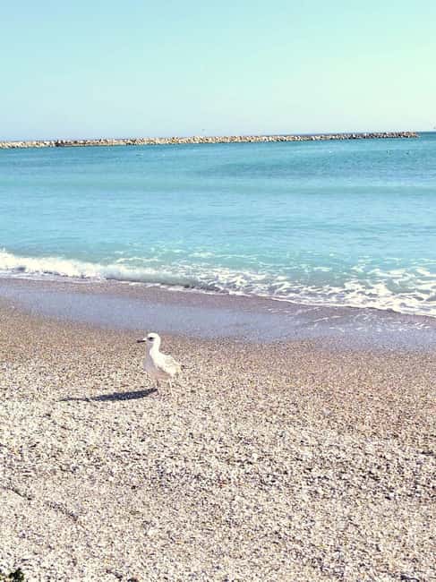 Private Bucharest Tour: Discover Constanța & Black Sea Coast - Should You Book This Private Constanța & Black Sea Tour?
