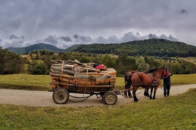 Private Day Tour to Historical Villages in Sinaia - Value for money: the real math behind $178.92 per person
