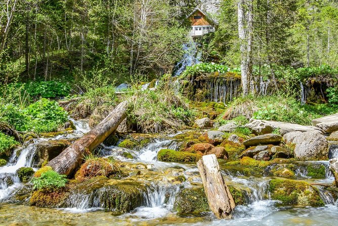 Private Daytrip Hike to Bucegi Mountains - Bucegi Mountains in One Day: The Big Appeal From Bucharest