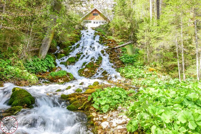 Private Daytrip Hike to Bucegi Mountains - How the hike feels in practice (moderate, forested, and weather-sensitive)