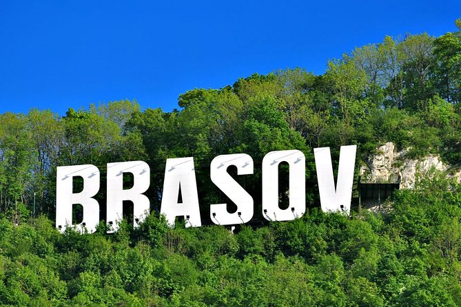Private Guided Tour of Peles Castle and Bran Castle from Bucharest - Who should book this tour (and who might not love it)