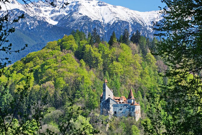 Private Movie Castles at Peles, Cantacuzino and Bran Castle Tour - Key things I’d focus on before you go