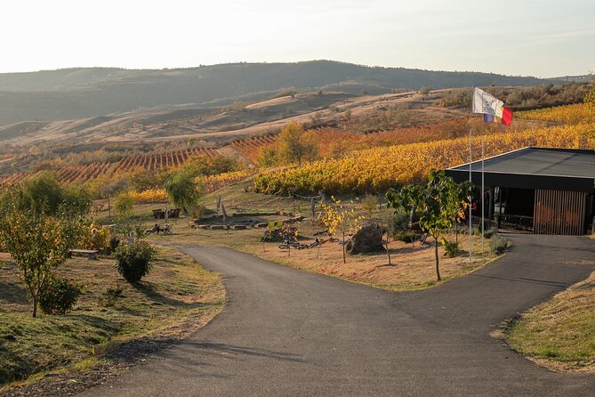 Private Tasting Expedition Along Romania’s Most Famous Wine Route - Key highlights at a glance