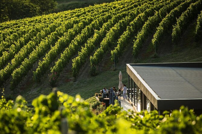 Private Tasting Expedition Along Romania’s Most Famous Wine Route - From Bucharest to Dealu Mare: how the day actually moves