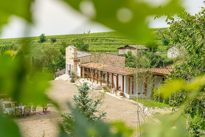 Private Tasting Expedition Along Romania’s Most Famous Wine Route - Price and value: is $325.80 per person worth it?