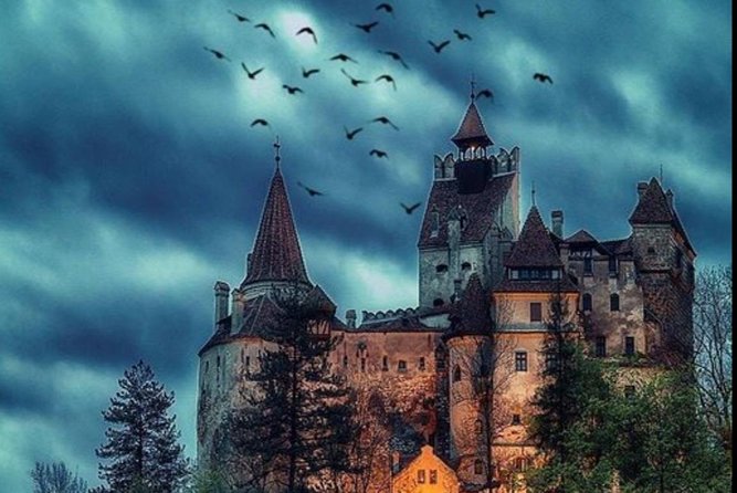 Private tour to Bran Dracula's Castle and Peleș Royal Castle - The Guide Experience: What You’ll Notice Immediately in a Private Tour