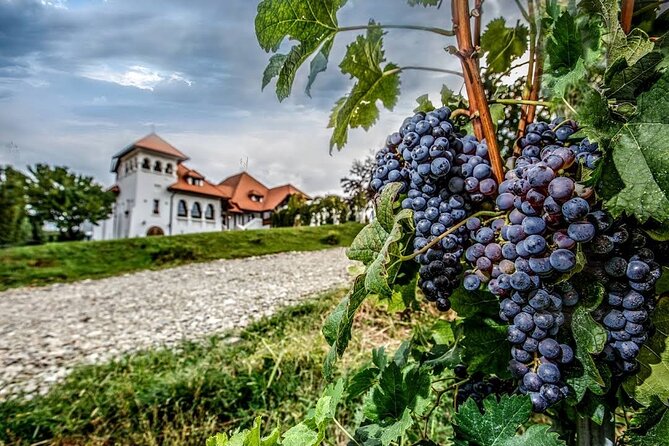 Private Tour to Salt Mine, Lunch at Winery and Dracula Grave - Price and Logistics: What $167.75 Covers (and What You Must Budget Extra)
