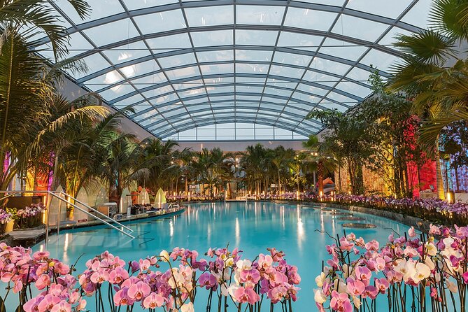 Relax and Fun at Thermal Spa Bucharest (Admission Ticket) - Key highlights worth knowing before you go