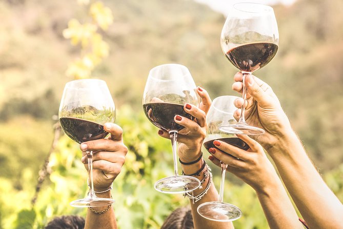 Romanian Wine Tasting - Key Points I’d Prioritize Before You Book