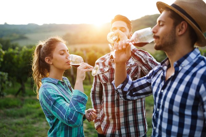 Romanian Wine Tasting - Stop 1: LacertA Winery and the Production Story Behind the Glass