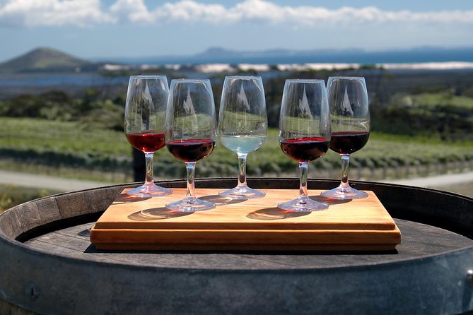 Romanian Wine Tasting - Dealul Mare Views and the Calm Counterpoint to Bucharest
