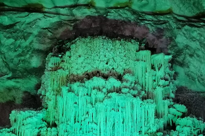 Salt Mine Prahova and Muddy Volcanoes Private Tour from Bucharest - Should you book this Salt Mine and Mud Volcano day trip?