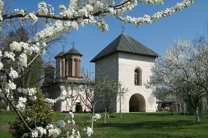 Slanic Salt Mine & Dracula's Grave - Private Tour from Bucharest - Entrance fees and what you really pay for