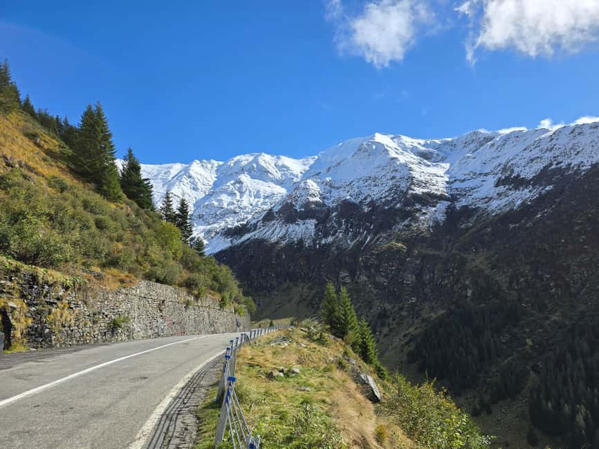 Small group max 7 - Top Gear Road - Transfăgărășan Highway - Brown bear spotting: treat it like wildlife, not a show