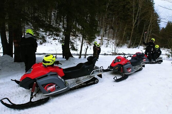 Snowmobiles, Sky Lift & Winter Sports - Private Tour - The one-hour forest adventure: speed with a guide alongside