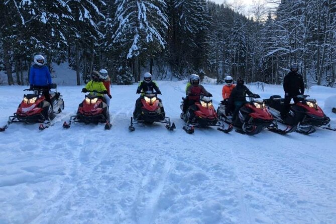 Snowmobiles, Sky Lift & Winter Sports - Private Tour - What’s included vs what you’ll pay out of pocket