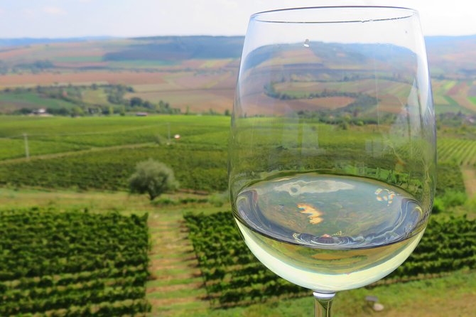 The wine route by bike - Key things to know before you go